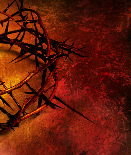 Crown of Thorns