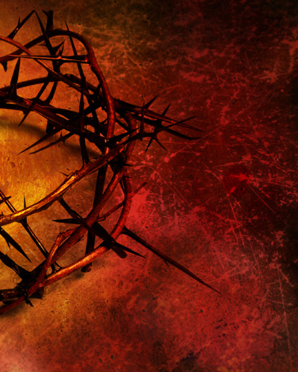 Crown of Thorns