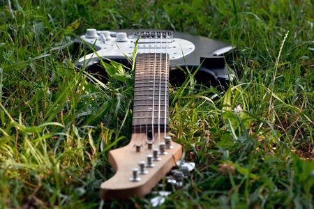 Dropped Guitar in Grass